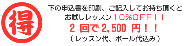 下の申込書を印刷、ご記入してお持ち頂くとお試しレッスン10%OFF!!